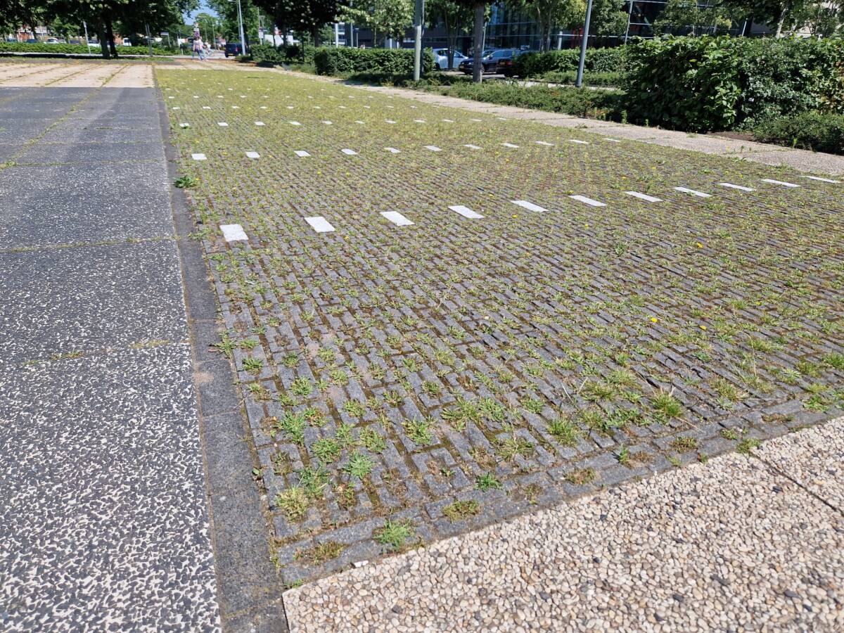 Afbeelding van halfopen verharding